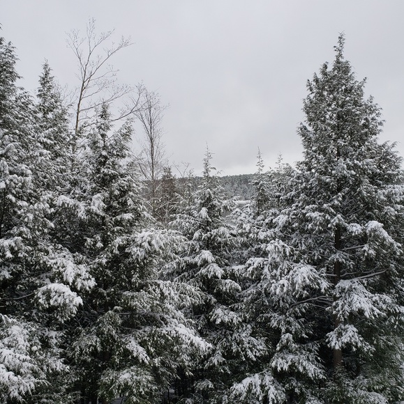 Meet your Posher, Alaina - Picture 1 of 1